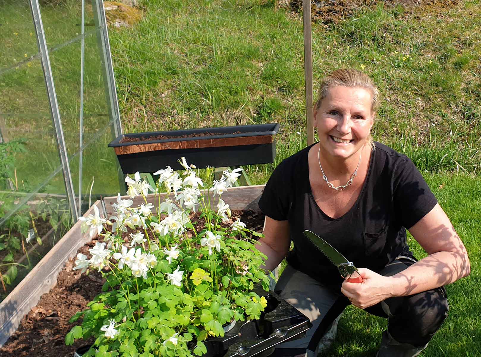 Trädbeskäring i Östberga med erfarna trädgårdsmästare