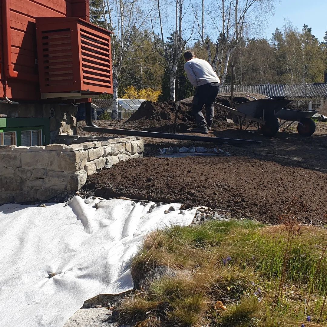 Specialiserade trädgårdsmästare i Annedal inom Stubbfräsning