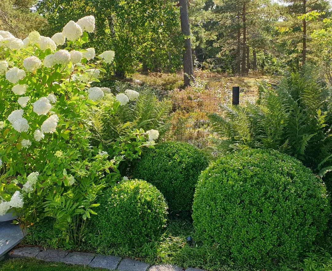 Högkvalitativ Gödning i Danvikstull